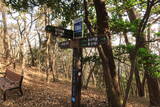 韓国 永登浦倭城の写真