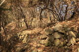 韓国 永登浦倭城の写真