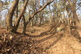 韓国 永登浦倭城の写真