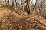 韓国 永登浦倭城の写真