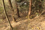 韓国 永登浦倭城の写真