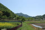 上野 天引城の写真