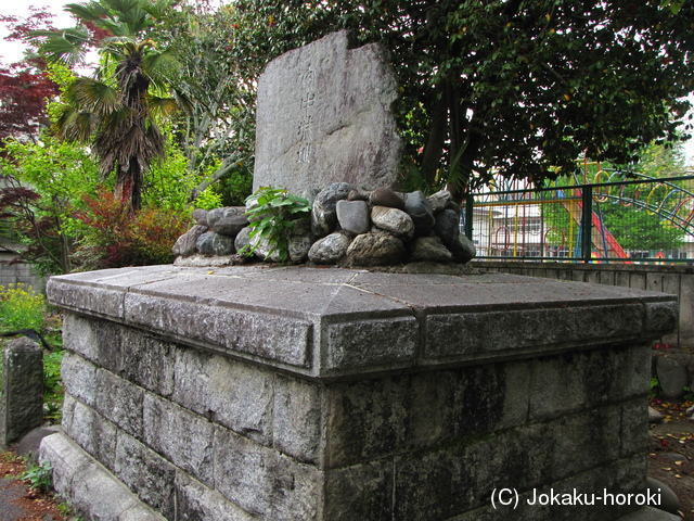 上野 安中城の写真