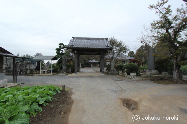 上野 青柳城の写真