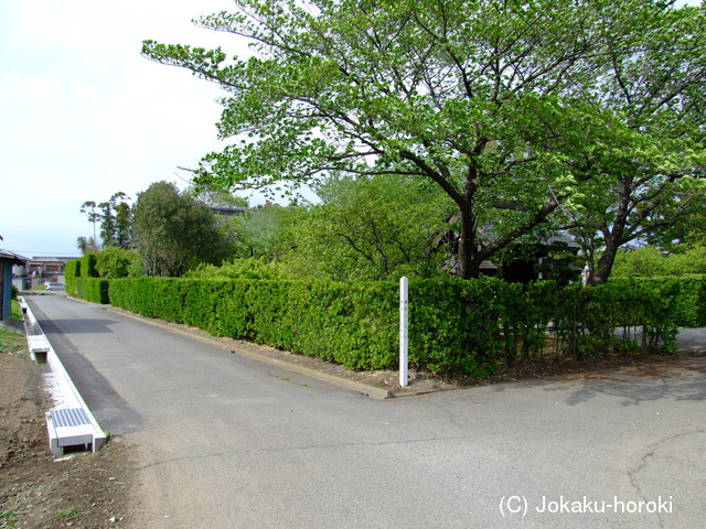 上野 阿佐美館の写真