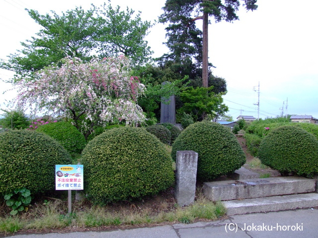 上野 台源氏館の写真