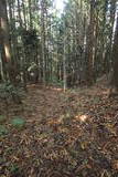 上野 大明神山の砦の写真