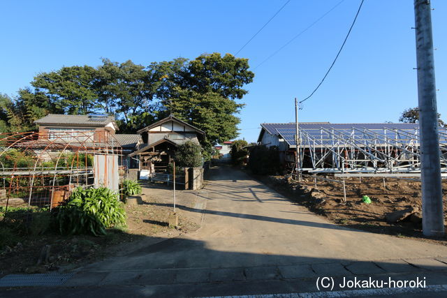 上野 金山城(前橋市)の写真