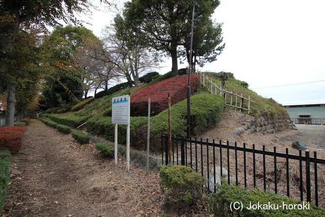 上野 藤岡城の写真