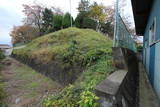 上野 藤岡城の写真