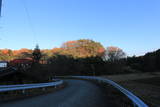 上野 箱崎城の写真