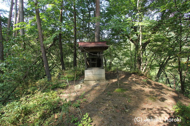 上野 雁ヶ沢城の写真