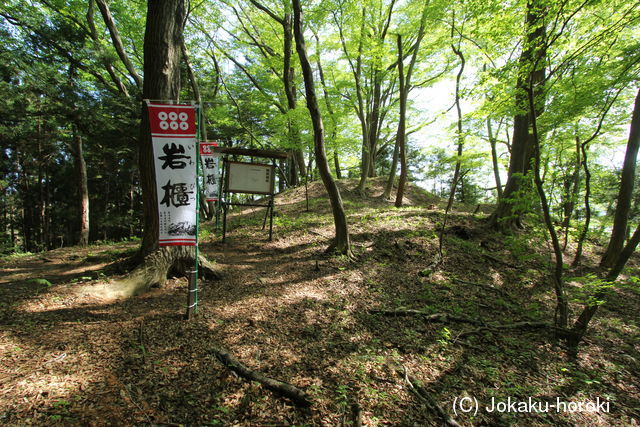 上野 郷原城の写真