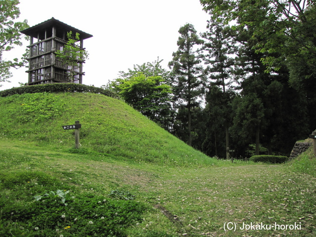 上野 後閑城の写真