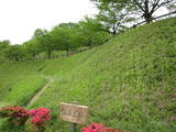 上野 後閑城の写真