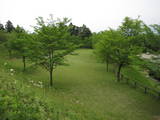 上野 後閑城の写真