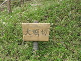 上野 後閑城の写真