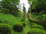 上野 後閑城の写真