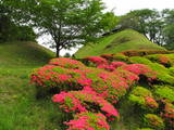 上野 後閑城の写真