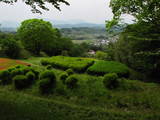 上野 後閑城の写真