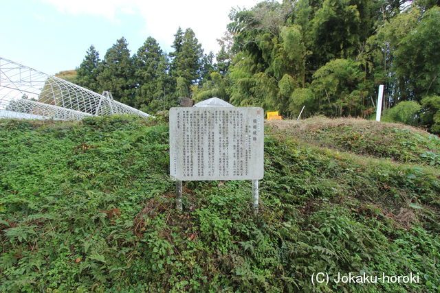 上野 権田城の写真