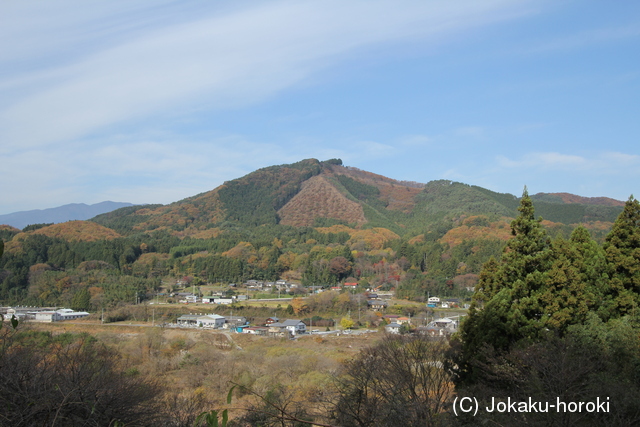 上野 五覧田城の写真