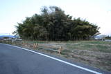 上野 八幡平陣城の写真