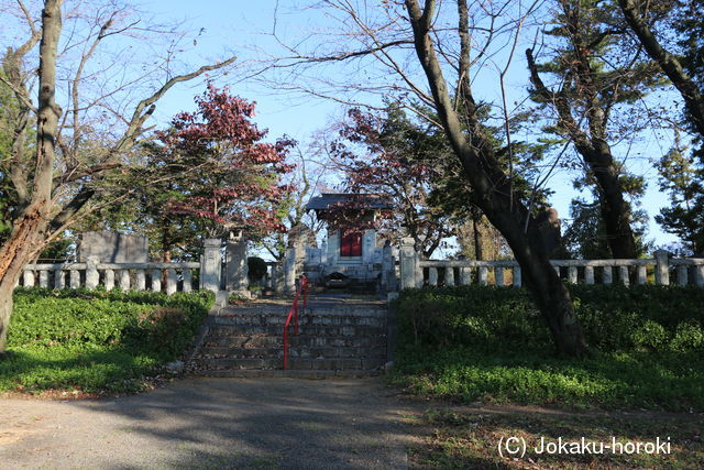 上野 八幡山の砦の写真