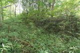 上野 萩生城の写真