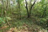 上野 羽田城の写真
