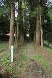 上野 羽田城の写真