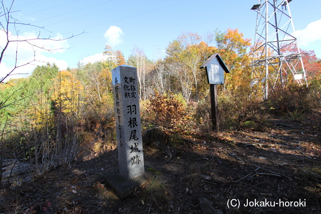 上野 羽根尾城の写真