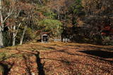 上野 羽根尾城の写真