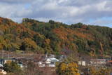 上野 羽根尾城の写真