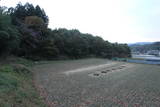上野 原城の写真