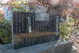 上野 平井城の写真