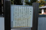 上野 平井城の写真
