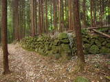 上野 平井金山城の写真