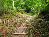 上野 平井金山城の写真