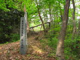 上野 平井金山城の写真