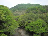 上野 平井金山城の写真