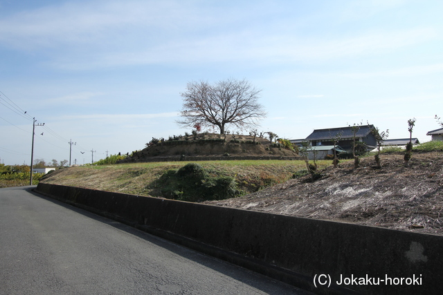 上野 本郷城の写真