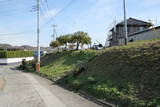 上野 本郷城の写真