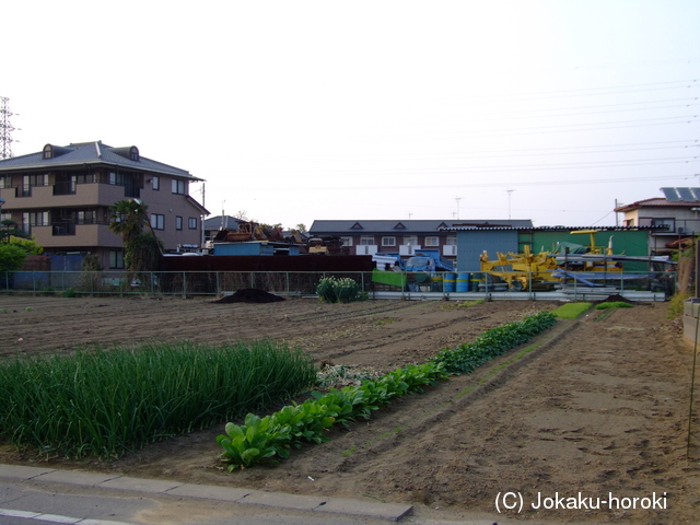 上野 宝泉城の写真