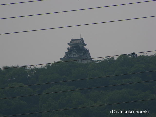 上野 一郷山城の写真