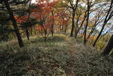 上野 磯部城の写真