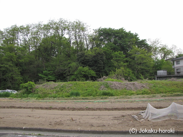 上野 板鼻城の写真