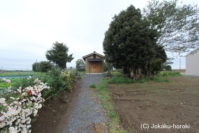 上野 板倉城の写真