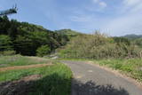 上野 岩櫃城の写真