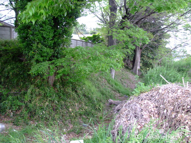 上野 岩鼻陣屋の写真